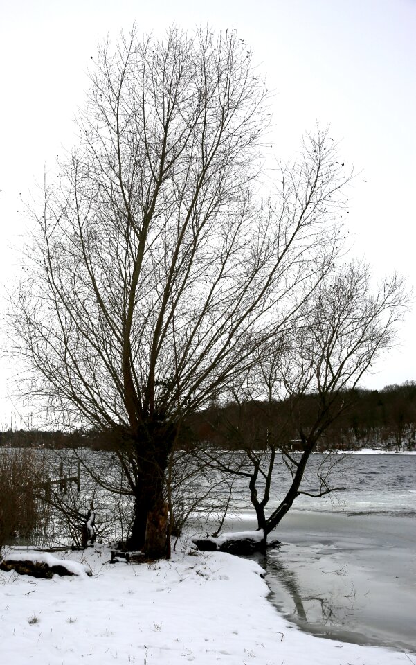 Cold wintry havel