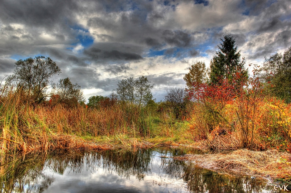 Wilderness scenery natural