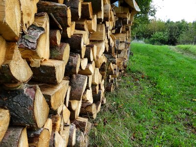 Halzstapel tree trunks firewood stack photo