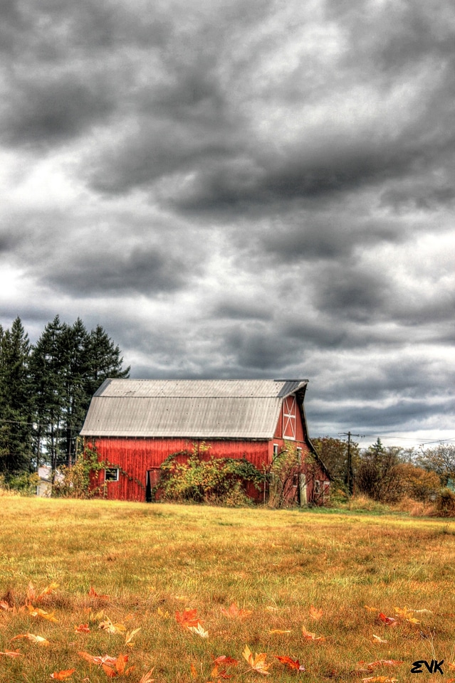 Landscape sky clouds