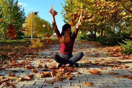 Autumn leaves orange