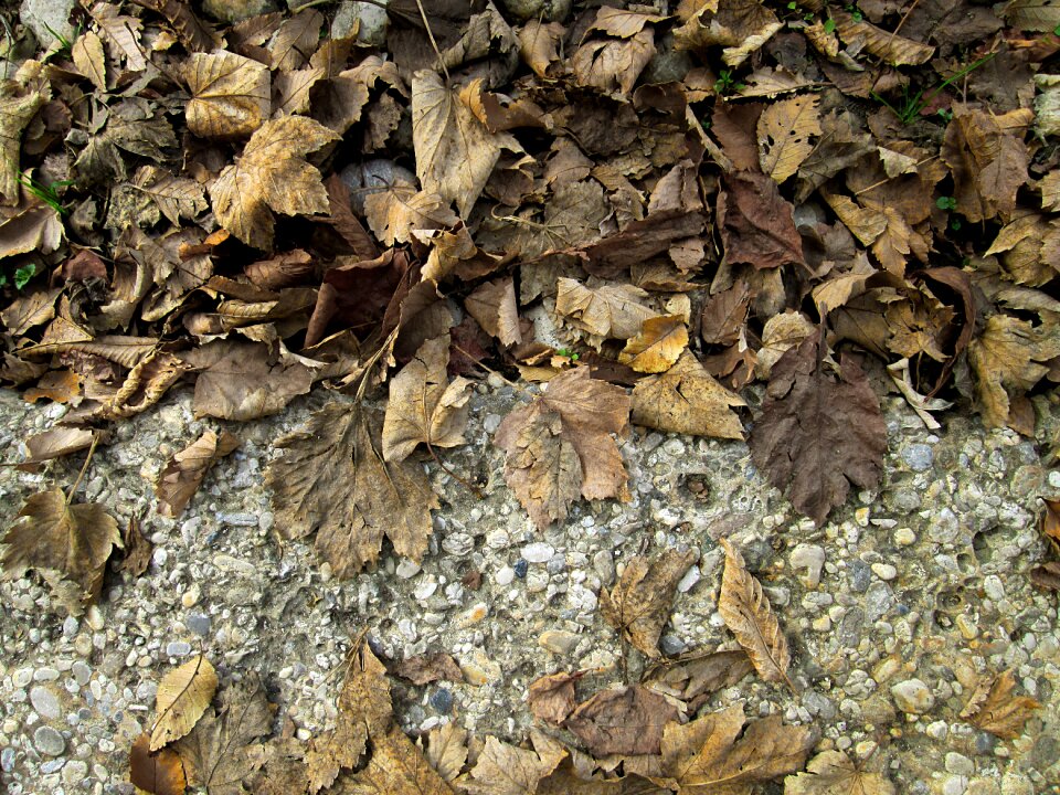 Dry nature season