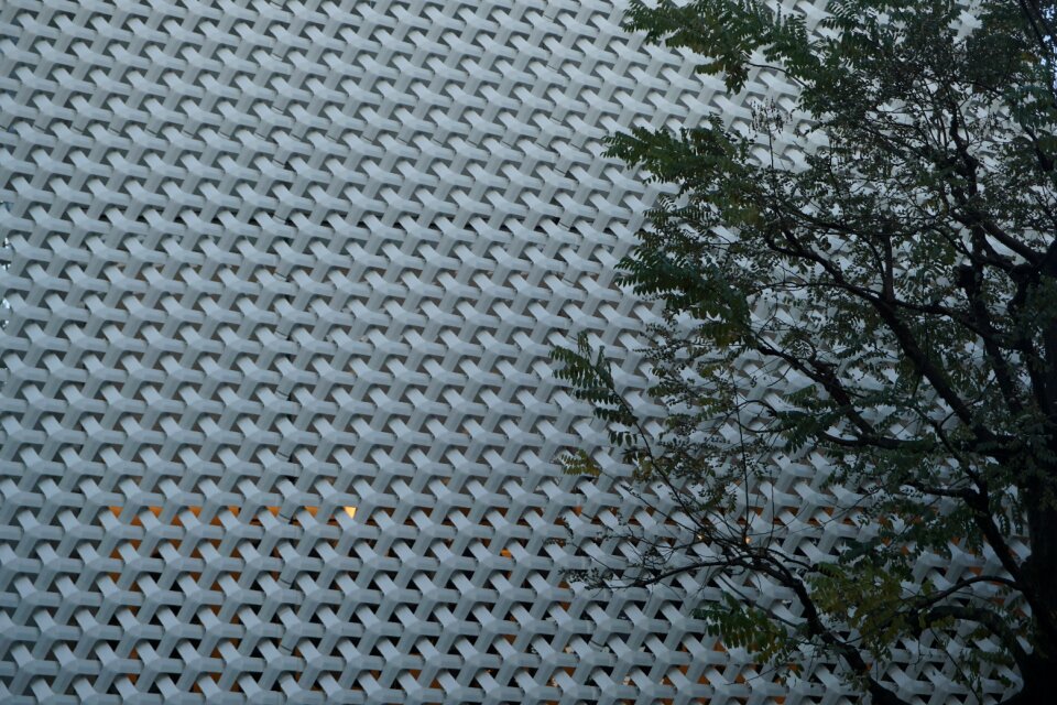 Architecture contrast texture