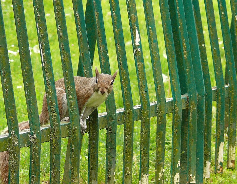 Between the bars