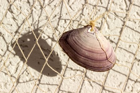 Fishing net decoration collect