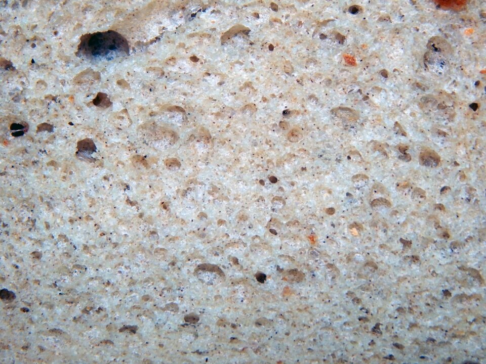 Food wheat gray bread