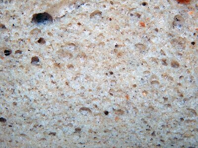 Food wheat gray bread