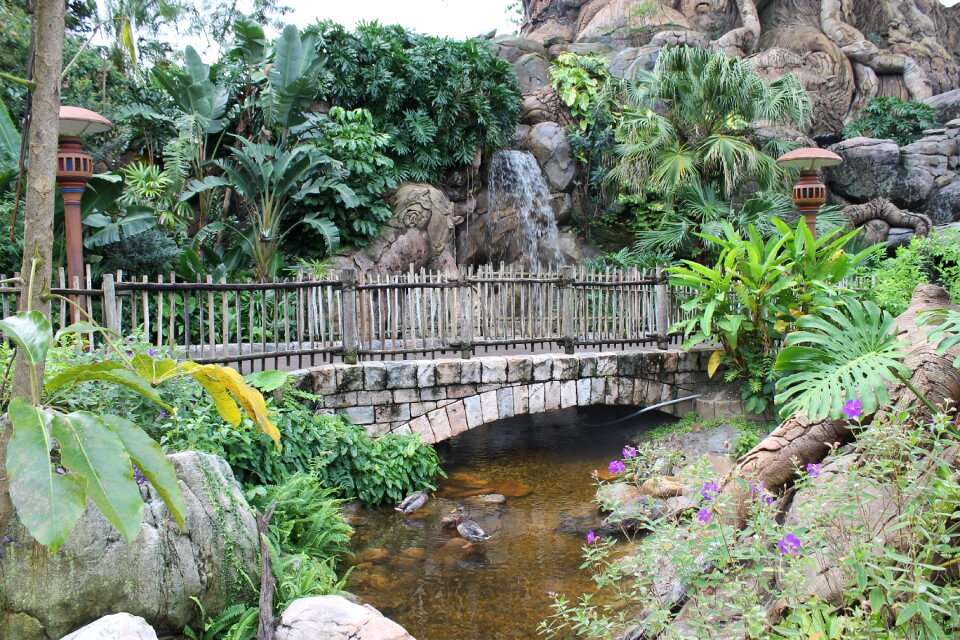 Nature water