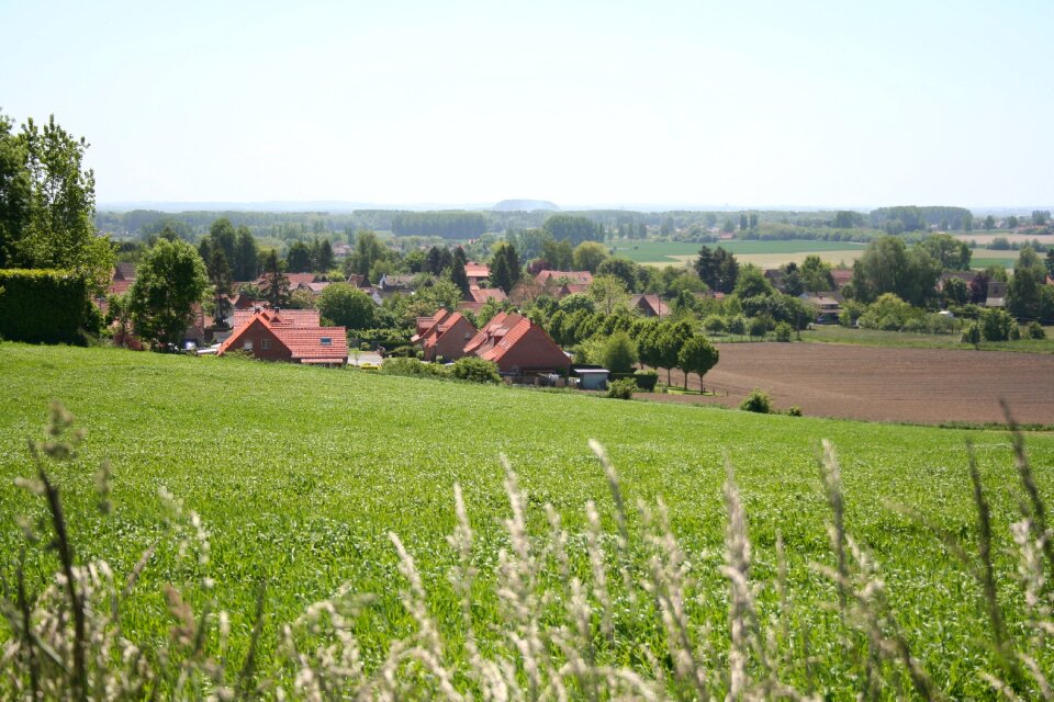 Hill summer sun