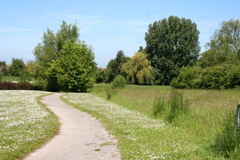Hill summer sun