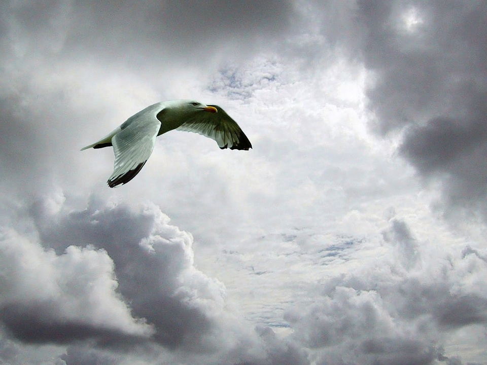 Nature clouds flying