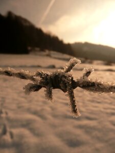 Nature frost sky photo