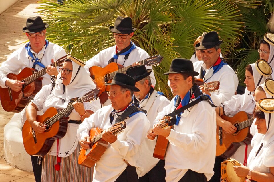 Folk music entertainment musician