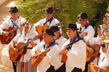 Folk music entertainment musician