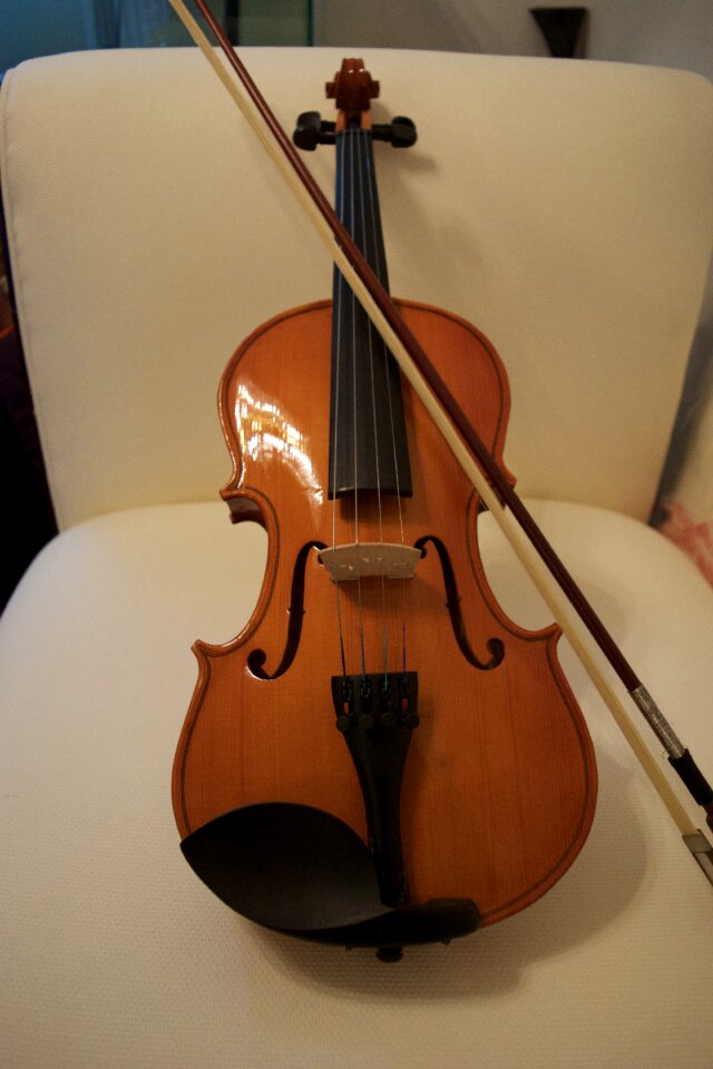 Music instrument stringed