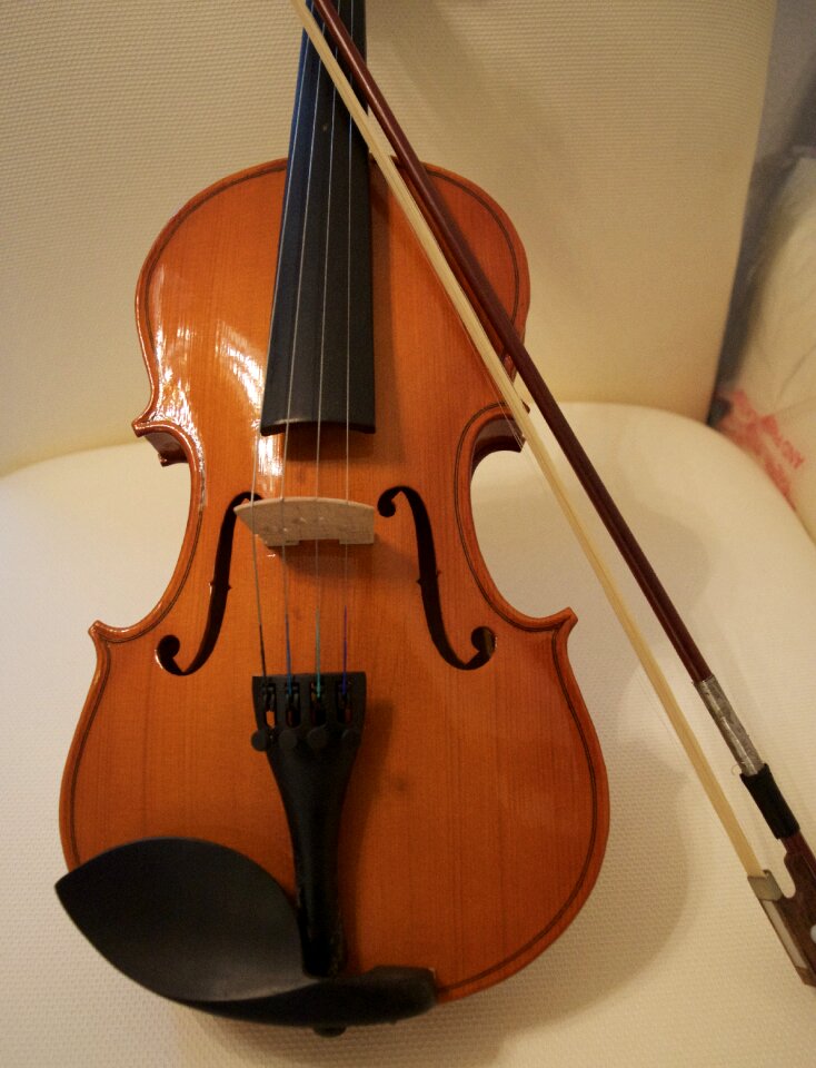 Bridge student instrument