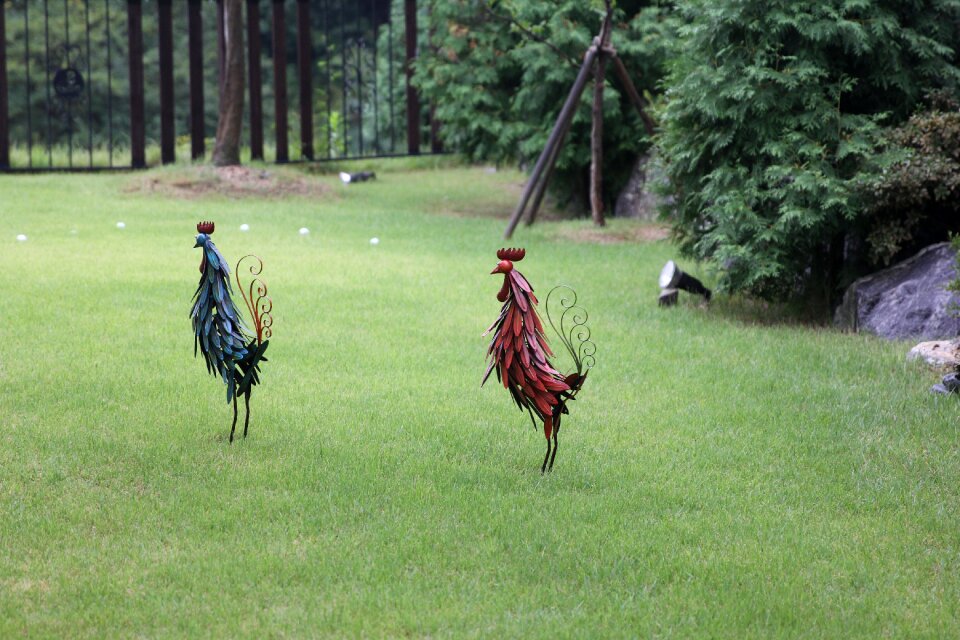 Chicken sculpture garden