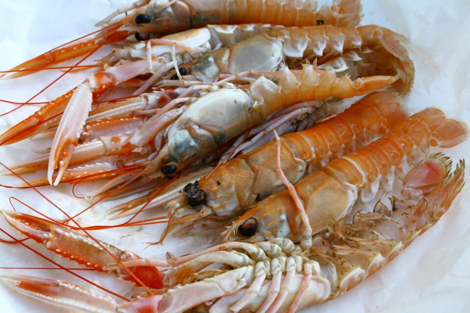 Delicious dish cuisine