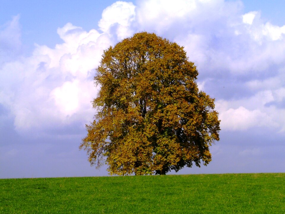 Seasons autumn mood