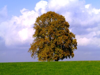 Seasons autumn mood