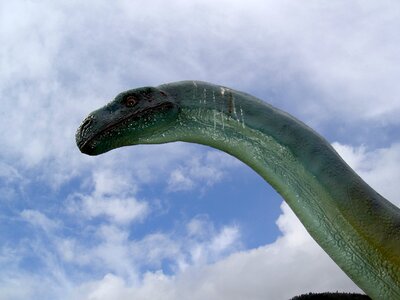 Dinosaur long jibe park