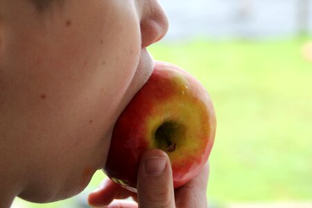 Eat vitamins bite purely