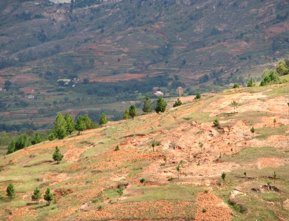 Madagascar hill highlands