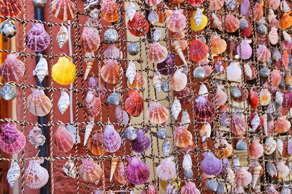 Mussels shells ornament