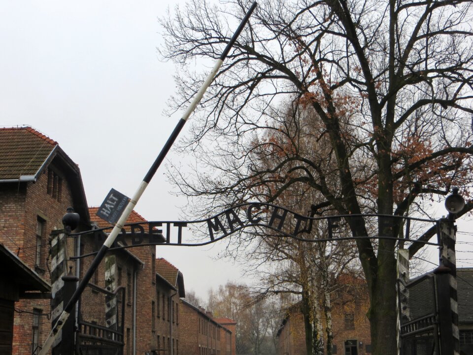 Concentration birkenau memorial