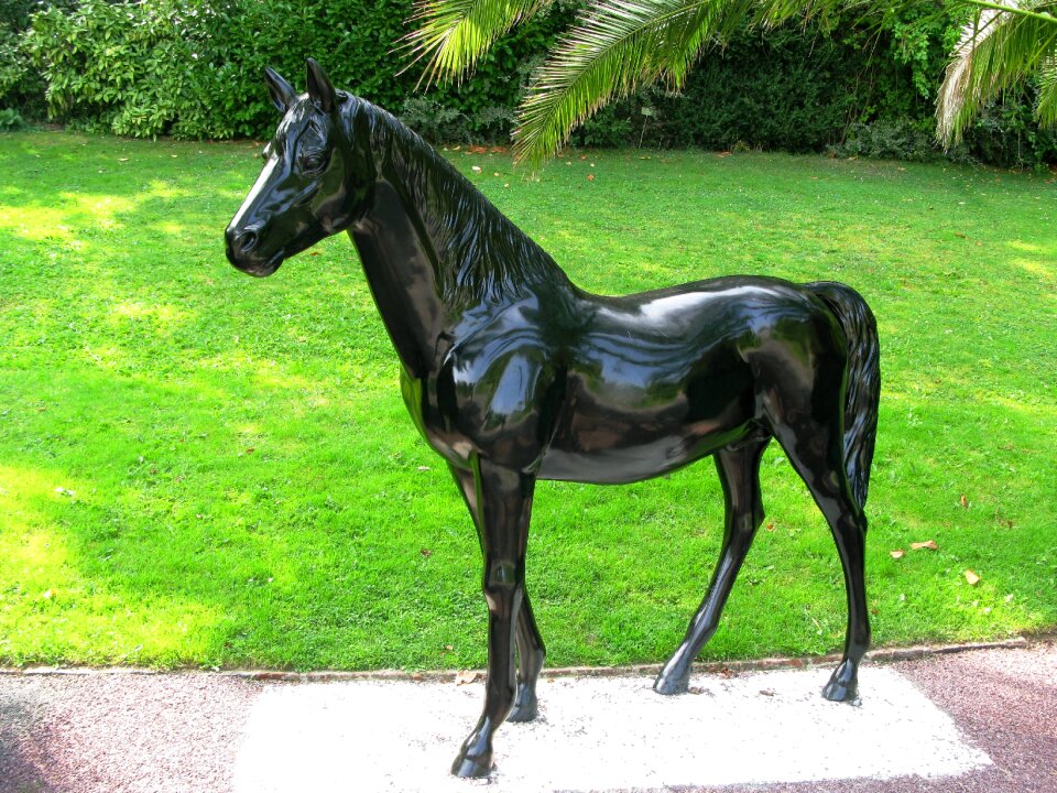Normandy horse image