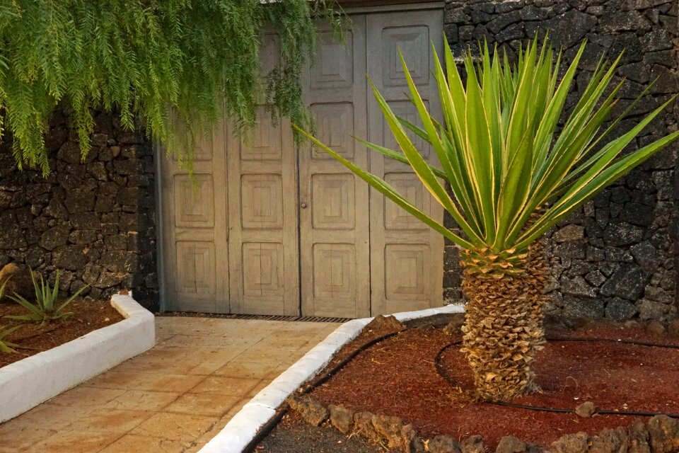 Away old door gate