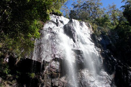 Springbrook national park queensland australia