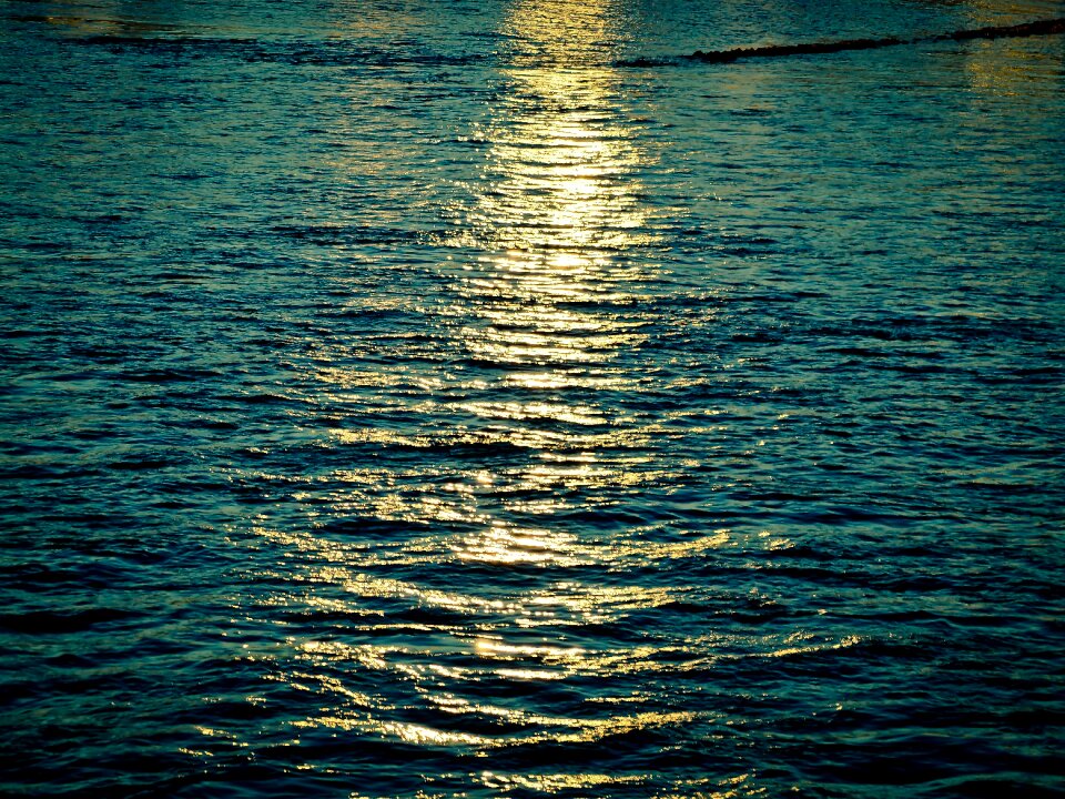 Nature mood wave