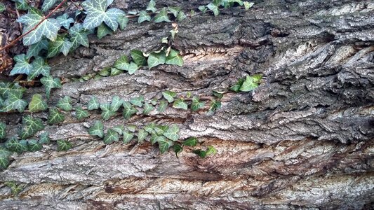 Background texture structure