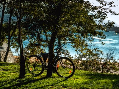 Relax peaceful bicycle