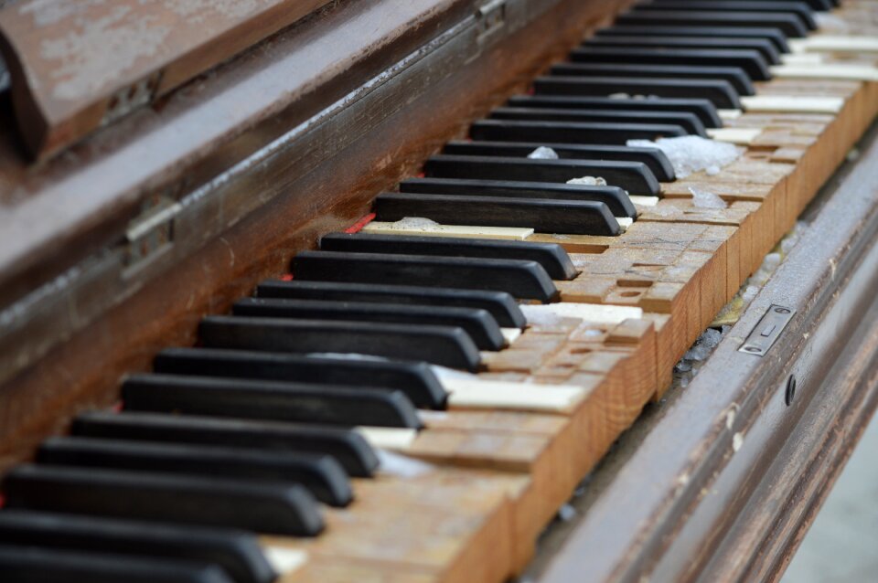 Music instrument old