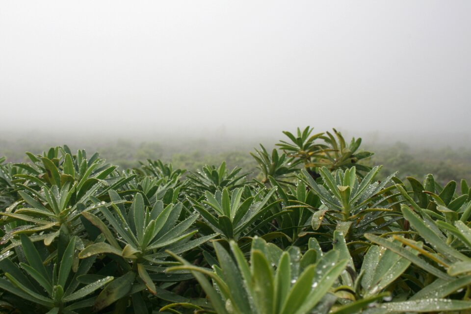 Landscape nature mood
