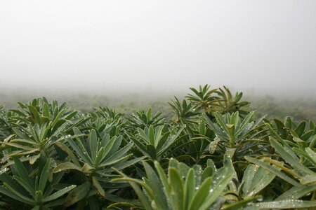 Landscape nature mood