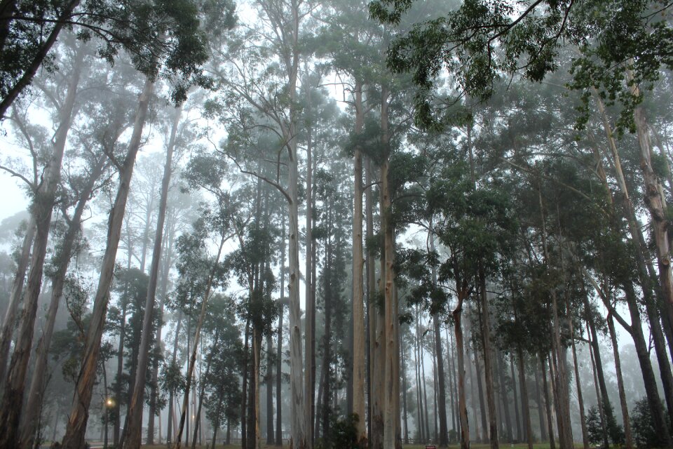 Landscape park natural