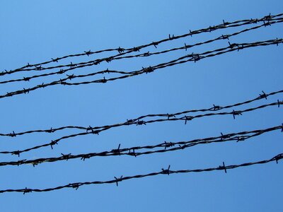 Freedom sky wires