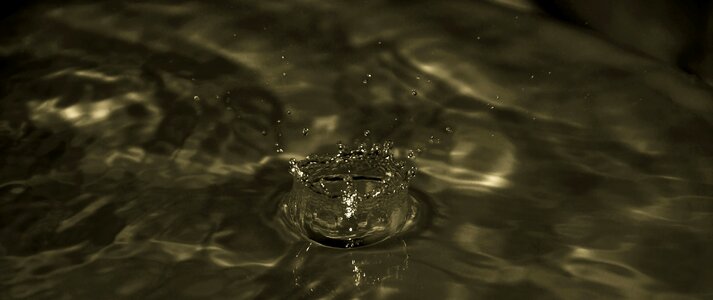 Droplet wet macro photo