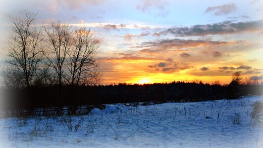Nature winter poland
