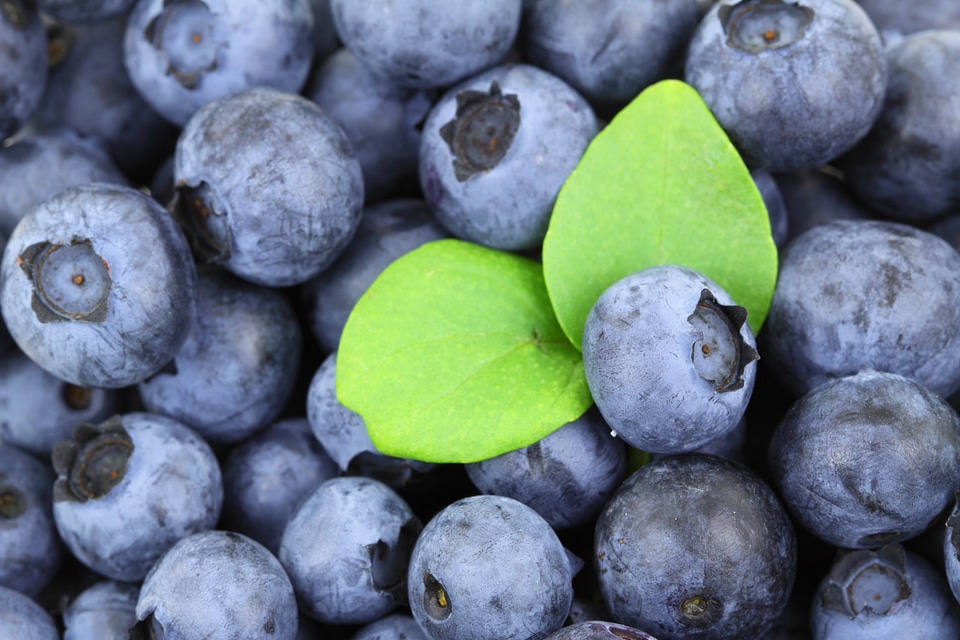 Food fresh fruit
