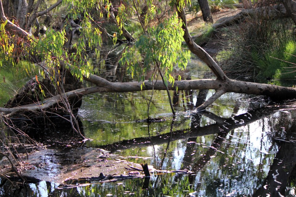 Landscape park natural