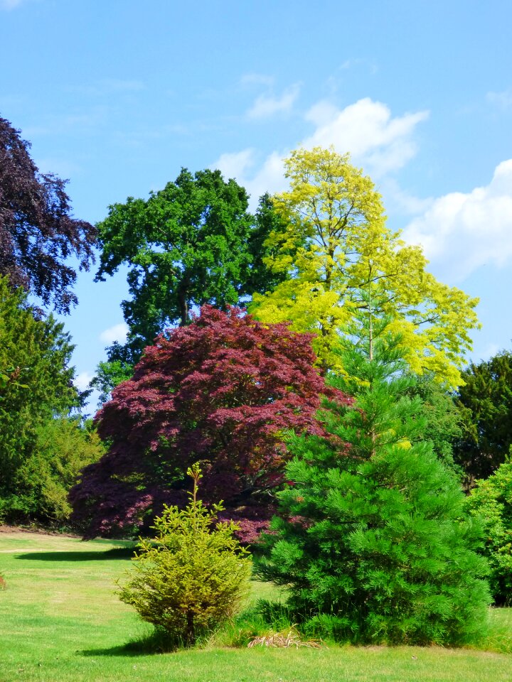 Nature landscape different species colorful foliage