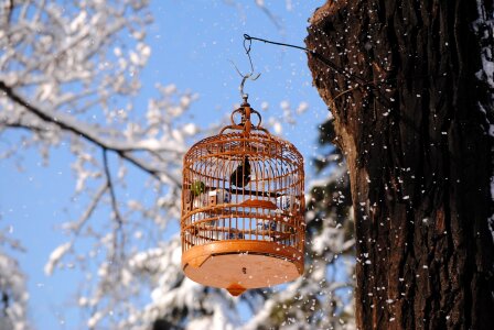 Cage outdoor prison