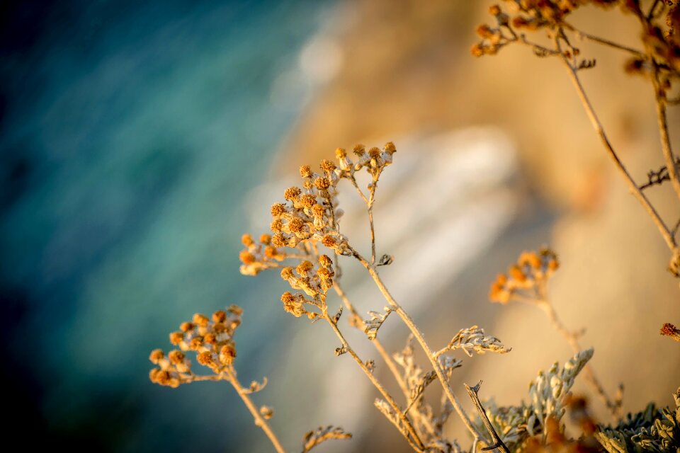 Landscape water horizon
