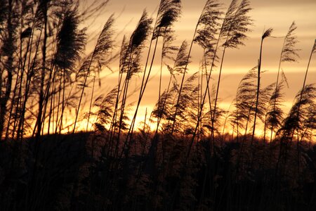 Quiet landscape evening sky