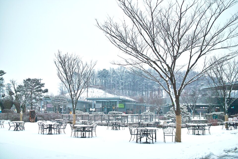 Snow yearning landscape