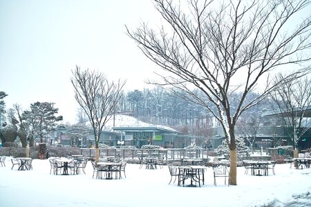 Snow yearning landscape